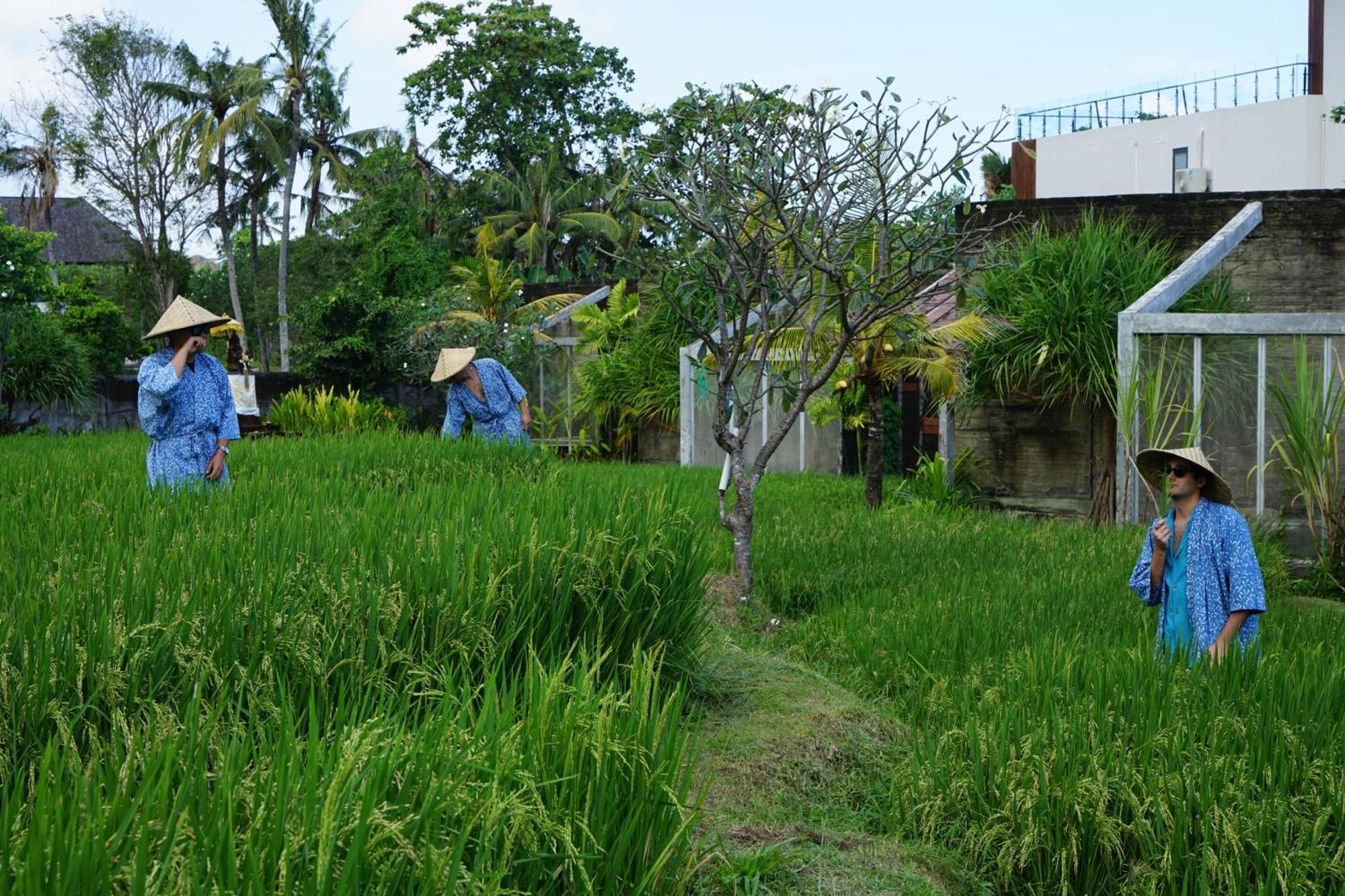 Shore Amora Canggu Exterior foto