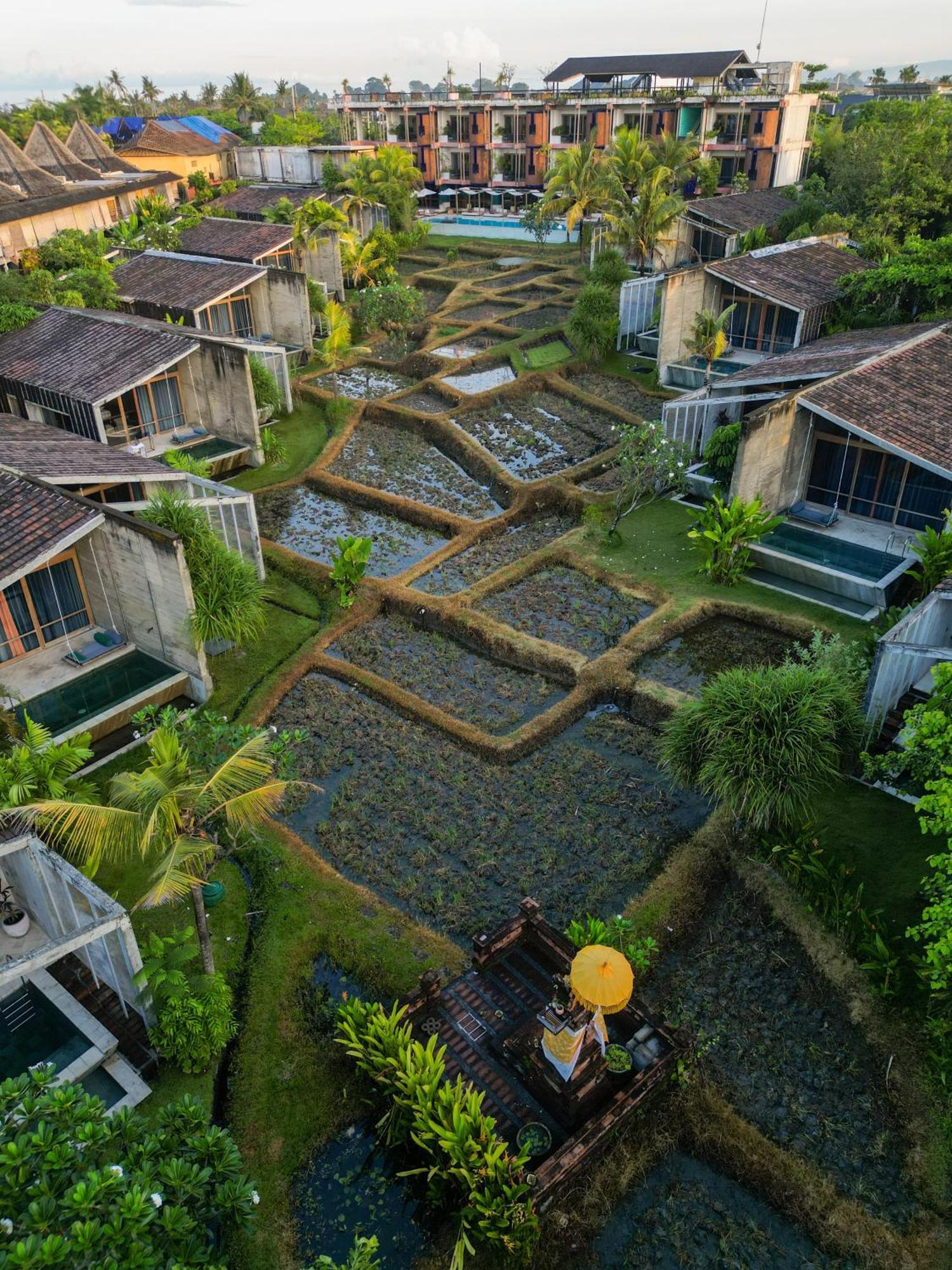 Shore Amora Canggu Exterior foto